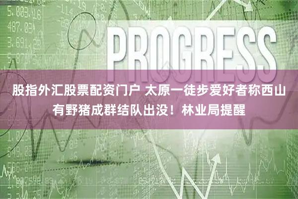 股指外汇股票配资门户 太原一徒步爱好者称西山有野猪成群结队出没！林业局提醒